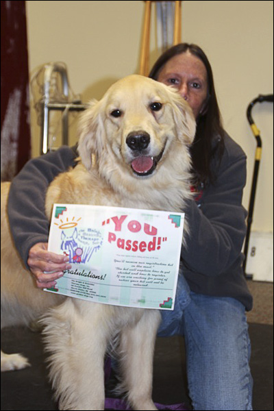 Ginny Tillman and O'Malley Certified Bright and Beautiful Therapy Dog handler Team