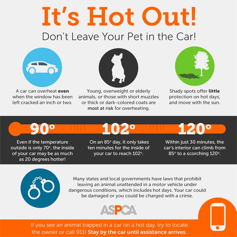 Pets in hot cars